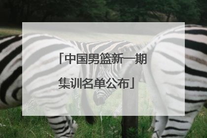 中国男篮新一期集训名单公布