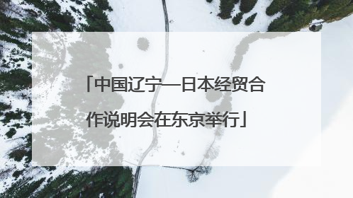 中国辽宁—日本经贸合作说明会在东京举行