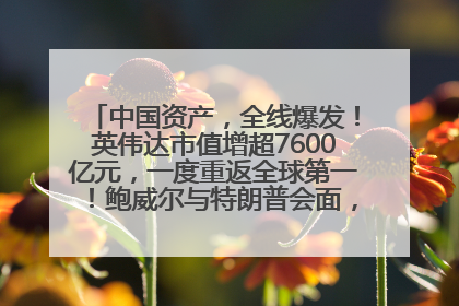中国资产，全线爆发！英伟达市值增超7600亿元，一度重返全球第一！鲍威尔与特朗普会面，他们聊了什么？