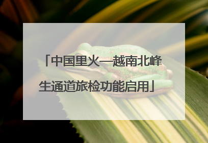中国里火—越南北峰生通道旅检功能启用