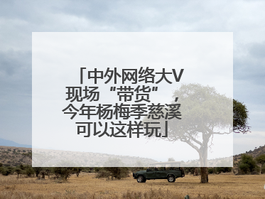 中外网络大V现场“带货”，今年杨梅季慈溪可以这样玩