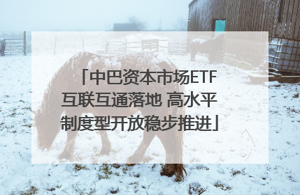 中巴资本市场ETF互联互通落地 高水平制度型开放稳步推进