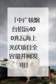 中广核烟台招远400兆瓦海上光伏项目全容量并网发电