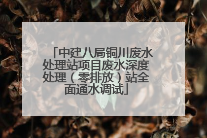 中建八局铜川废水处理站项目废水深度处理（零排放）站全面通水调试