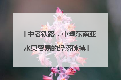 中老铁路：重塑东南亚水果贸易的经济脉搏