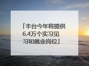 丰台今年将提供6.4万个实习见习和就业岗位
