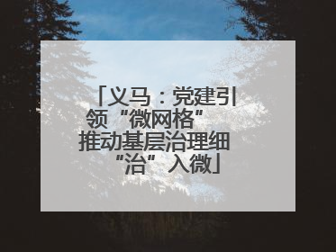 义马：党建引领“微网格” 推动基层治理细“治”入微
