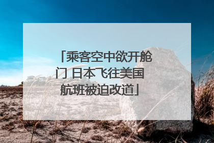 乘客空中欲开舱门 日本飞往美国航班被迫改道