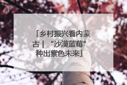 乡村振兴看内蒙古｜“沙漠蓝莓”种出紫色未来