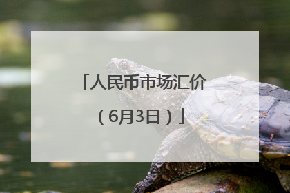 人民币市场汇价（6月3日）
