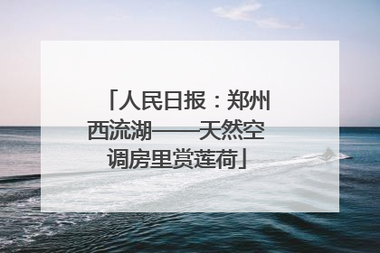 人民日报：郑州西流湖——天然空调房里赏莲荷