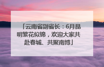 云南省副省长：6月昆明繁花似锦，欢迎大家共赴春城、共聚南博