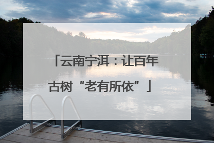 云南宁洱：让百年古树“老有所依”