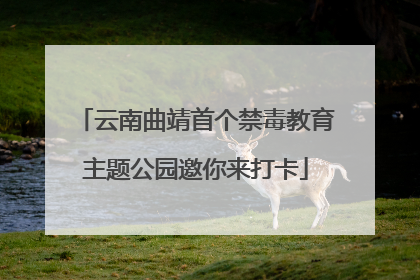 云南曲靖首个禁毒教育主题公园邀你来打卡