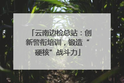 云南边检总站：创新警衔培训，锻造“硬核”战斗力