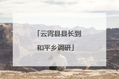 云霄县县长到和平乡调研