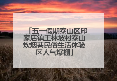 五一假期泰山区邱家店镇王林坡村泰山炊烟巷民俗生活体验区人气爆棚