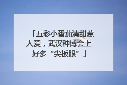 五彩小番茄清甜惹人爱，武汉种博会上好多“尖板眼”