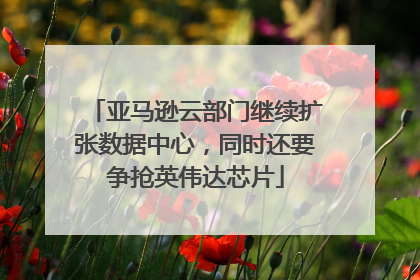 亚马逊云部门继续扩张数据中心，同时还要争抢英伟达芯片