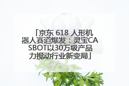 京东 618 人形机器人赛道爆发：灵宝CASBOT以30万级产品力搅动行业新变局