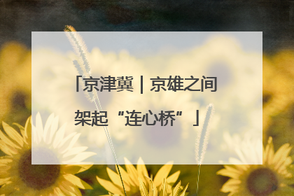 京津冀｜京雄之间架起“连心桥”