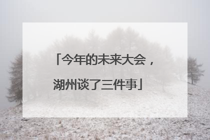今年的未来大会，湖州谈了三件事