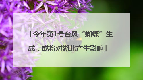 今年第1号台风“蝴蝶”生成，或将对湖北产生影响