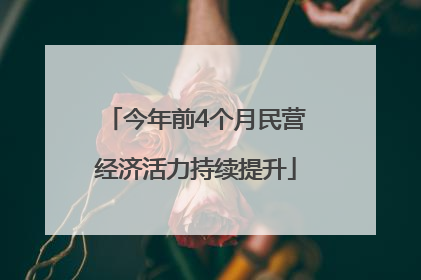 今年前4个月民营经济活力持续提升