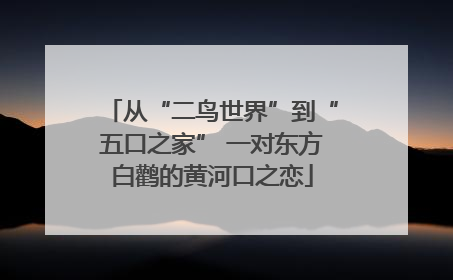 从“二鸟世界”到“五口之家” 一对东方白鹳的黄河口之恋
