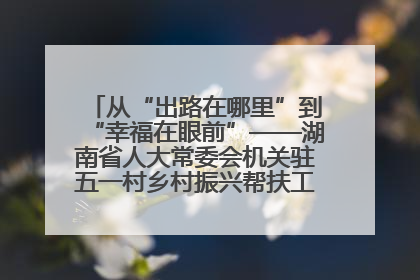 从“出路在哪里”到“幸福在眼前”——湖南省人大常委会机关驻五一村乡村振兴帮扶工作队书写振兴答卷