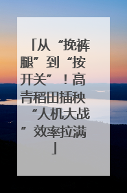 从“挽裤腿”到“按开关”！高青稻田插秧“人机大战”效率拉满