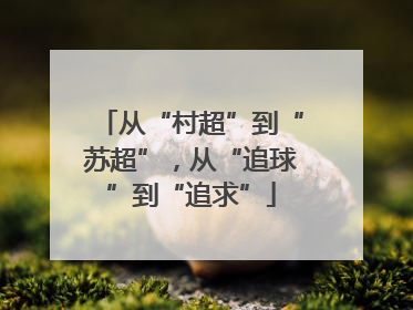 从“村超”到“苏超”，从“追球”到“追求”
