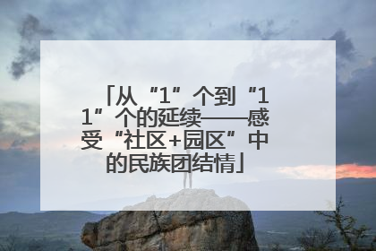 从“1”个到“11”个的延续——感受“社区+园区”中的民族团结情