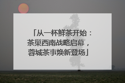 从一杯鲜茶开始：茶巢西南战略启幕，蓉城茶事焕新登场