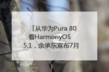 从华为Pura 80看HarmonyOS 5.1，余承东宣布7月迎来首批机型升级