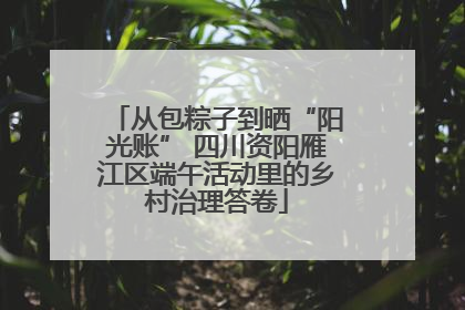 从包粽子到晒“阳光账” 四川资阳雁江区端午活动里的乡村治理答卷