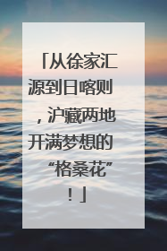 从徐家汇源到日喀则，沪藏两地开满梦想的“格桑花”！