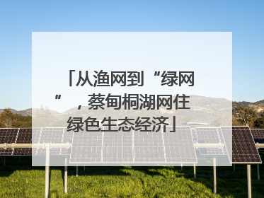 从渔网到“绿网”，蔡甸桐湖网住绿色生态经济