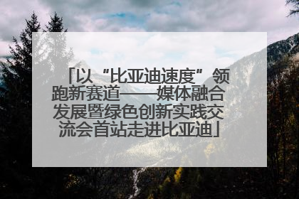 以“比亚迪速度”领跑新赛道——媒体融合发展暨绿色创新实践交流会首站走进比亚迪