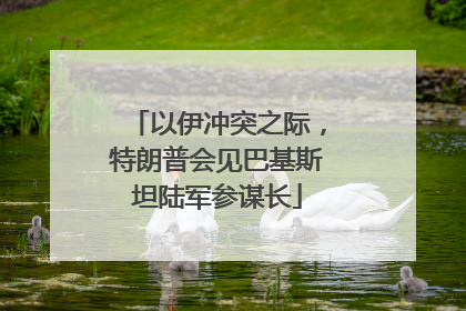 以伊冲突之际，特朗普会见巴基斯坦陆军参谋长