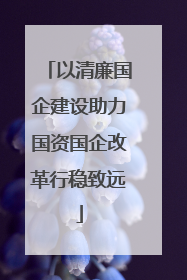以清廉国企建设助力国资国企改革行稳致远
