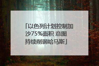 以色列计划控制加沙75%面积 意图持续削弱哈马斯