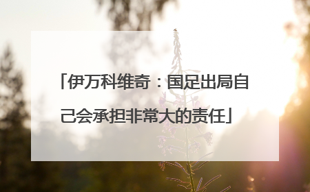 伊万科维奇：国足出局自己会承担非常大的责任
