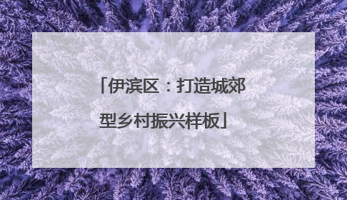 伊滨区：打造城郊型乡村振兴样板