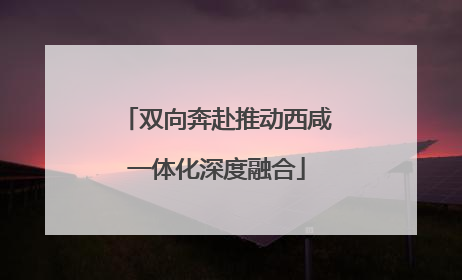 双向奔赴推动西咸一体化深度融合