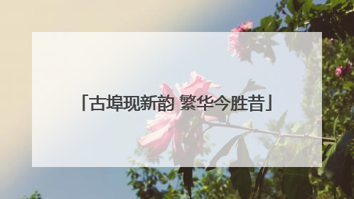 古埠现新韵 繁华今胜昔