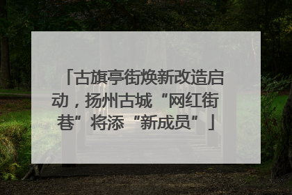 古旗亭街焕新改造启动，扬州古城“网红街巷”将添“新成员”