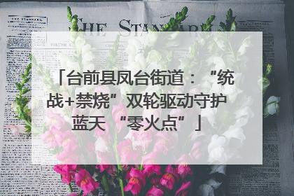 台前县凤台街道：“统战+禁烧”双轮驱动守护蓝天 “零火点”