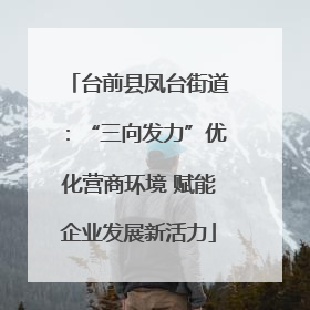 台前县凤台街道：“三向发力”优化营商环境 赋能企业发展新活力