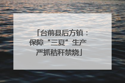 台前县后方镇：保障“三夏”生产 严抓秸秆禁烧